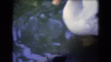 Athens Ohio USA (1966): Beautiful Outdoors Animal Travel