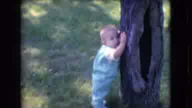 Athens Ohio USA (1966): A Toddler Leans Against A Tree Near Two Lawn Gnomes