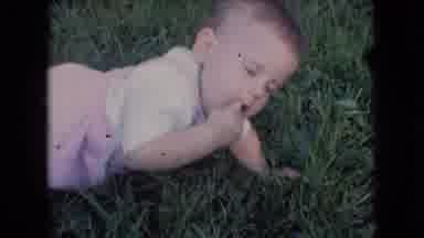 Athens Ohio USA (1966): A Baby Eating Bugs Off Of Grass But Family Dog Intervenes