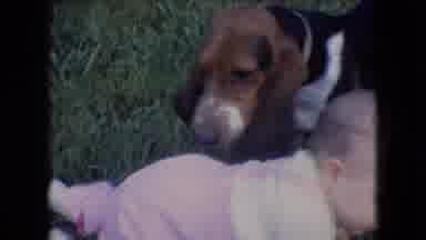 Athens Ohio USA (1966): Very Cute Baby Dog Crawl