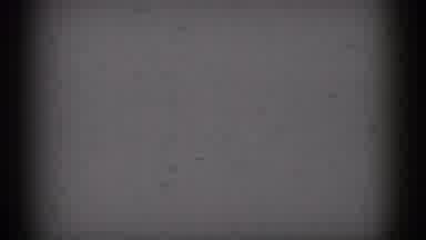 New Jersey USA (1966): Snowy Woods With Trees, Snow Covering The Limbs Of The