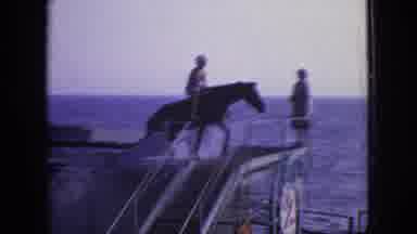New Jersey USA (1966): A Girl Riding A Horse Out Of The Water