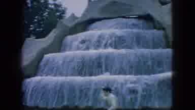 New Jersey USA (1966): Alligator Stalks Man And Dog Playing Fetch Near Waterfall