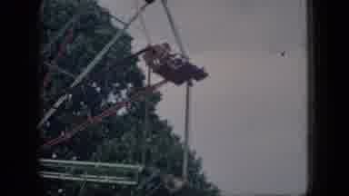 New Jersey USA (1966): People Are Riding A Ferris Wheel By A Tree At An Amusement