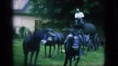 New Jersey USA (1966): Several Animal Carts With Older-Style Buildings