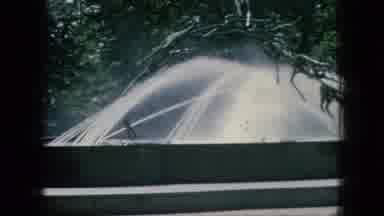 New Jersey USA (1966): Fountain And Orangutans At A Facility