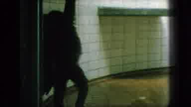 New Jersey USA (1966): Zoo Exhibits Of A Chimpanzee And A Fox