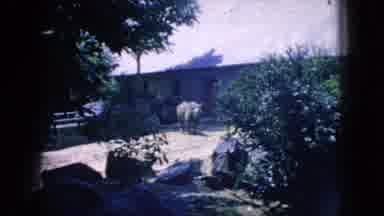 New Jersey USA (1966): Wild Animal Park
