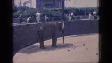 New Jersey USA (1966): Elephant In Zoo Watches Birds While People Watch As They
