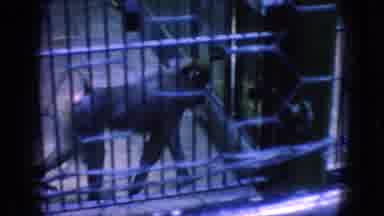 New Jersey USA (1966): Visiting The Zoo