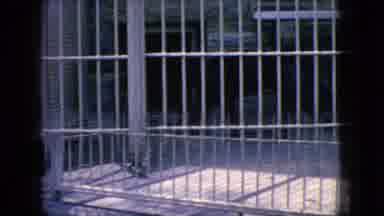 New Jersey USA (1966): A Puma And Cheetah In Cages