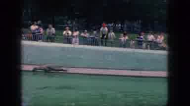 New Jersey USA (1966): Wild Life Behind Bars At The Zoo
