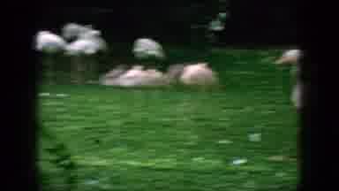 New Jersey USA (1966): The Walker Time