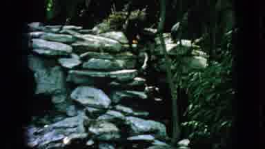 New Jersey USA (1966): Visiting The City Park In The Spring Or Summer