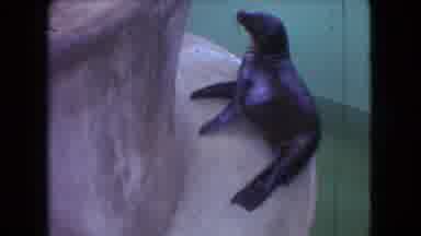 Ohio USA (1966): Black Seal On Fountain