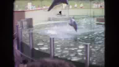 Ohio USA (1966): Water Park Antics