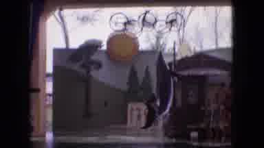 Ohio USA (1966): Dolphin Cute Energetic Jumping Theme Park Water Training Tricks