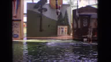 Ohio USA (1966): Dolphins Jumping Around Doing A Show