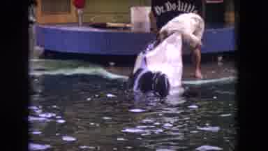 Ohio USA (1966): Whale On A Zookeepers Head