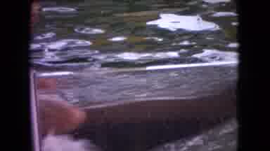 Ohio USA (1966): Person Rides On Whale In A Tank Of Water