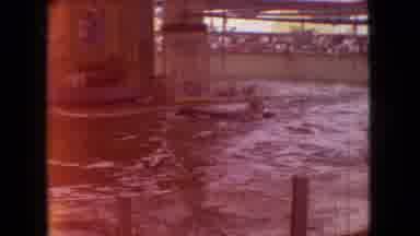 Ohio USA (1966): The Good Days At The Aquarium