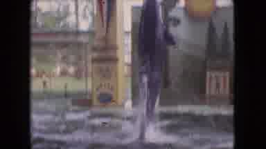 Ohio USA (1966): Dolphin Jumps Out Of Pool To Reach Ball