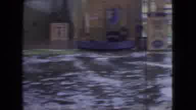 Ohio USA (1966): I Saw A Show Involving A Funny Seal
