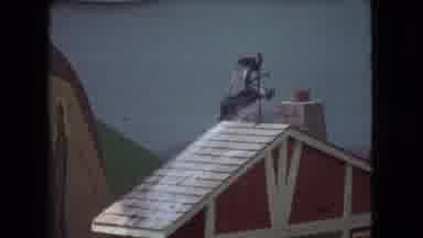 Ohio USA (1966): People Playing With A Seal