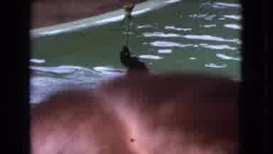 Ohio USA (1966): Seal Swimming Through Water Holding Bird On Stick