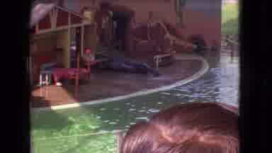 Ohio USA (1966): Dolphin Playing In Sea World