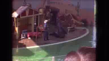 Ohio USA (1966): Pinnipeds Playing And Practicing Ball Under Supervision
