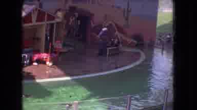 Ohio USA (1966): Man Doing A Water Show With Animals