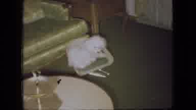 Ohio USA (1966): A Typical Day At Home