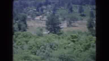 Ohio USA (1966): A Thick Forests Provides Protection To An Old Cemetery