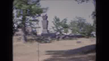 Ohio USA (1966): Natural Scenes For The Forest While The Car Is Moving