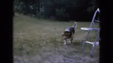Ohio USA (1966): Garden Home Scene
