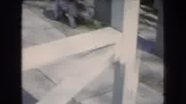 Ohio USA (1966): Two Dogs Playing In Gardening