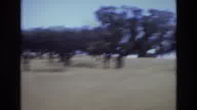 PORTUGAL-1972: Car Zooms By The Serengeti In Africa