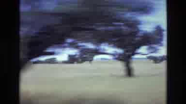 PORTUGAL-1972: Rural Landscape Scenery with Motion Blur