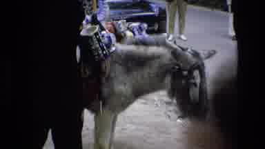 Spain (1972): Man Selling Items On A Donkey In Mexico