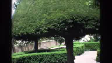 Spain (1972): Luscious Garden Plant View