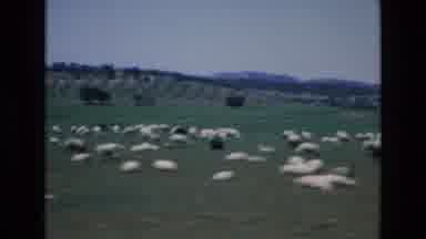 Spain (1972): Animals And A Farmer In A Field