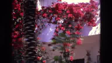 Spain (1972): Flowers On The Side Of A House