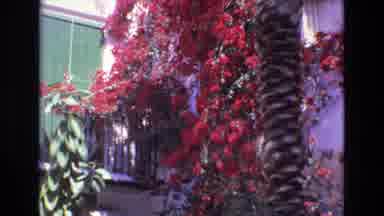 Spain (1972): Garden Of The House