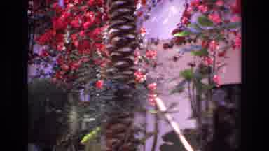 Spain (1972): Some Trees In A Person's Front Yard And Some People Walking Down The