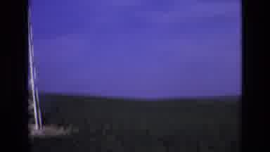Spain (1972): Road Trip Through A Valley With An Arrival To A Nice Town With Palm