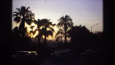 Spain (1972): Sunset Behind Palm Trees And Busy Road