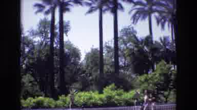 Spain (1972): Panned View Of Lush Greenery With Two People Walking By