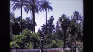 Spain (1972): People Walk Through A Garden In Bloom Under The Cover Of Palm Trees
