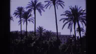 Spain (1972): Urban Sights In Tropical Environment